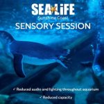 Sealife Sensory Session